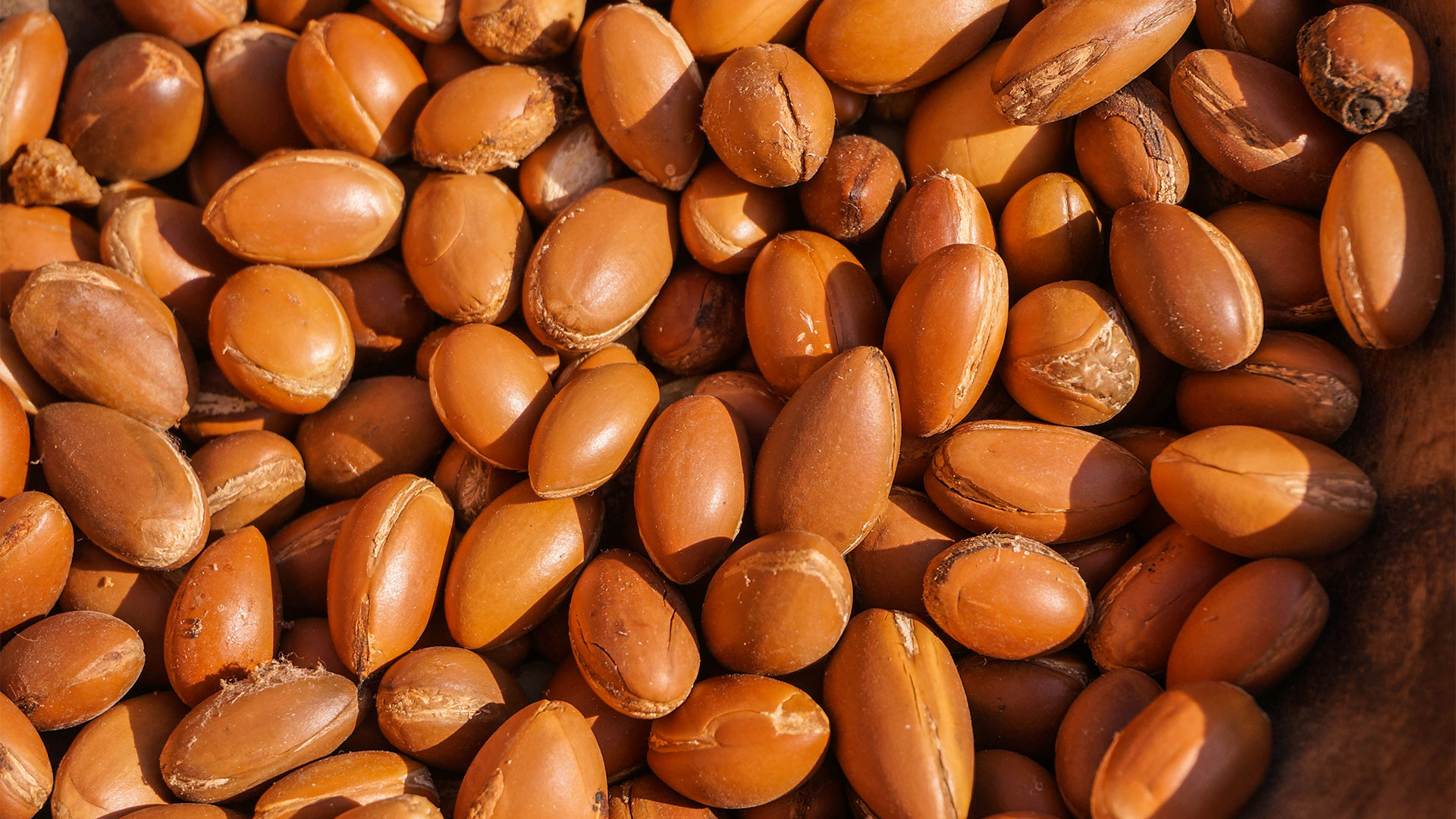 Can You Use Argan Oil As A Moisturizer