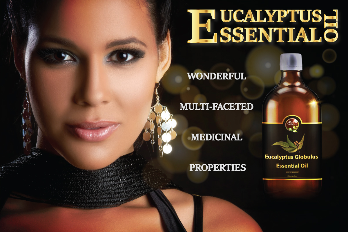 Moroccan eucalyptus essential