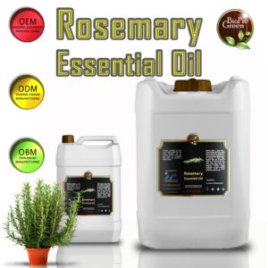 Rosemary essential Oil