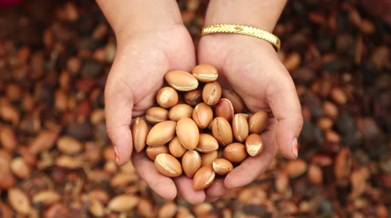 hand full of argan
